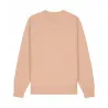 Unisex Changer 2.0 Iconic Crew Neck Sweatshirt (Stsu178)