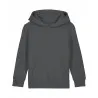 Kids Mini Cruiser 2.0 Iconic Hoodie Sweatshirt (Stsk180)