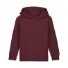 Kids Mini Cruiser 2.0 Iconic Hoodie Sweatshirt (Stsk180)