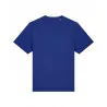 Unisex Sparker 2.0 Heavy T-Shirt (Sttu171)