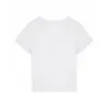 Womenís Stella Isla V-Neck T-Shirt (Sttw176)