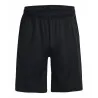 Ua Techô Vent Shorts